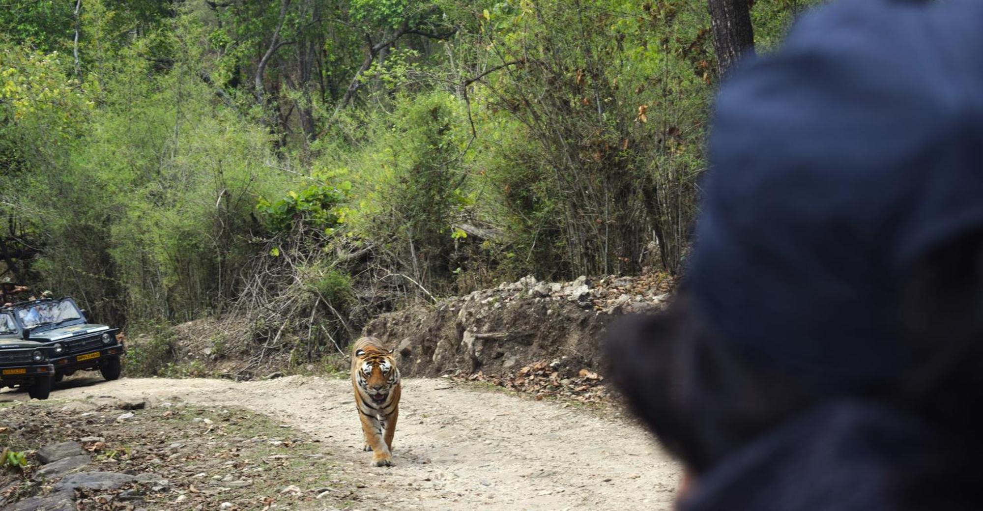 Athulyam Kanha, Kanha National Park, Mukki Gate Khāpa エクステリア 写真